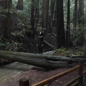 Meet your Posher, Taylor